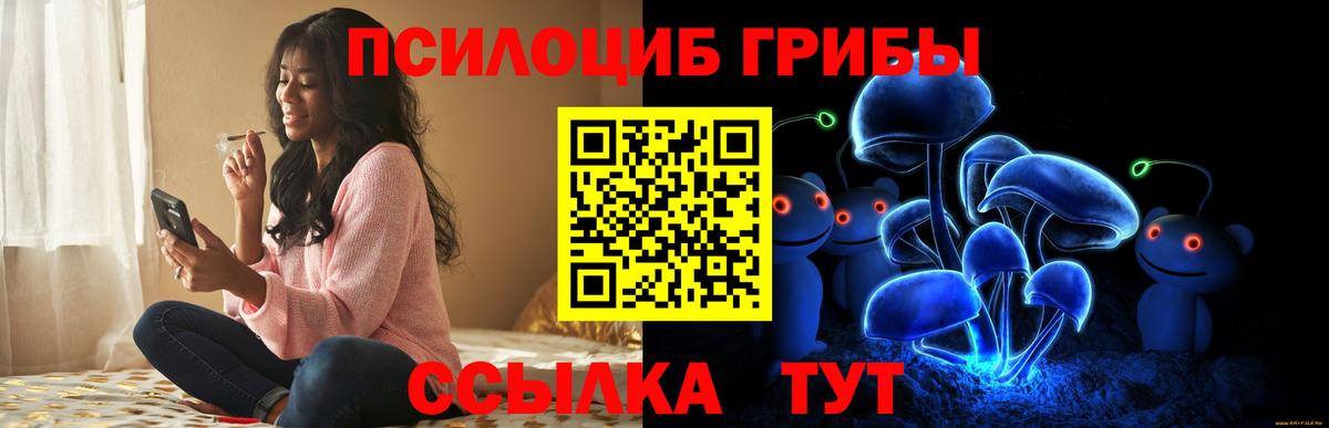 Галлюциногенные грибы прущие грибы  Вход с VPN  Котовск 