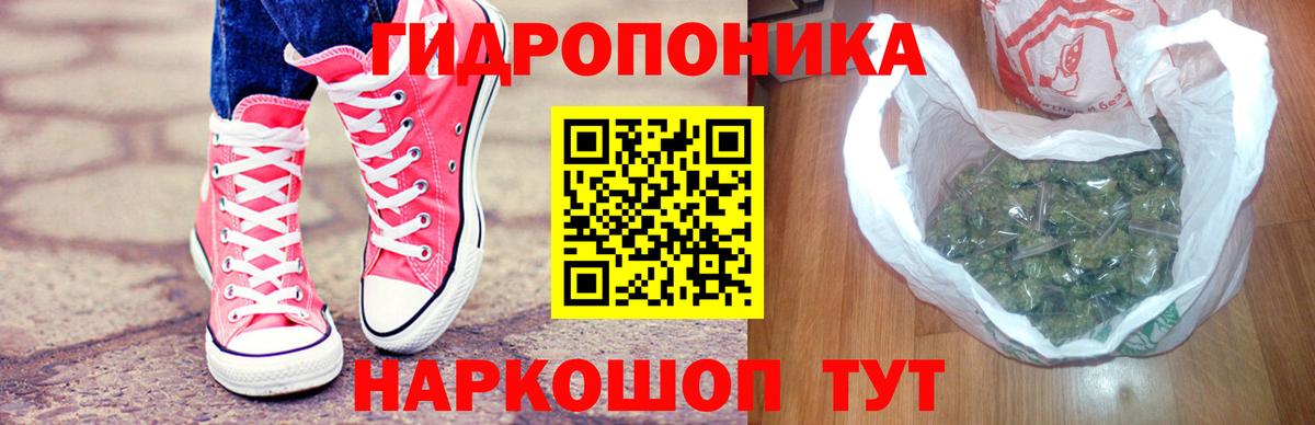 Бошки Шишки гибрид Котовск